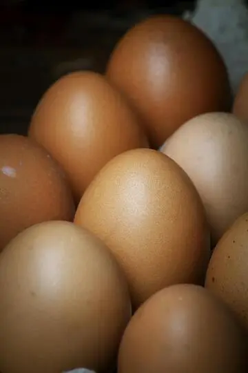 Produkty ChickenWayMarket dla klientów hurtowych i detalicznych