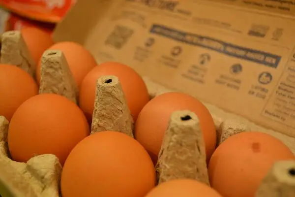 Oferta ChickenWayMarket — świeże jajka kurze